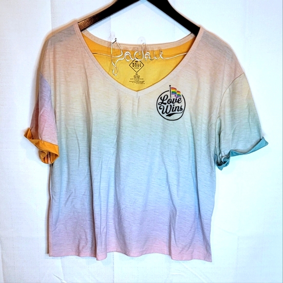 Well Worn Tops - Pride Love Wins Cropped Tee